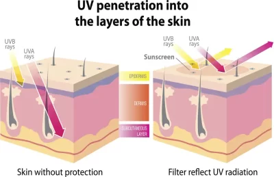 compare UVB UVA damage skin