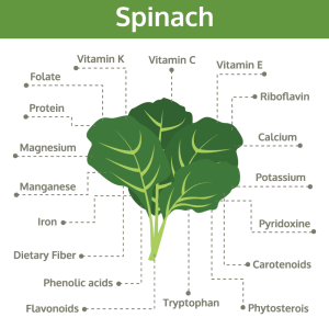 full nutritions in Spinach good for health