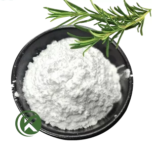 white Rosemary Extract 98% Ursolic Acid Bulk Powder in bowl, fresh green rosemary leaf