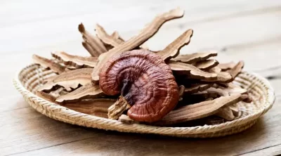 cogumelo reishi vermelho com pedaços secos