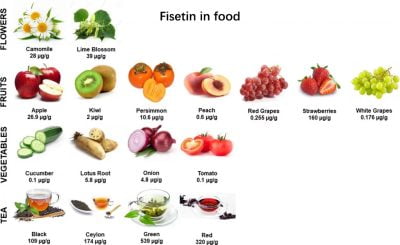 fisetin content in foods, Apple, Kiwi, Peach, Strawberries, Grapes, cucumber, Onion, Tomato, tea, fruits, vegetables