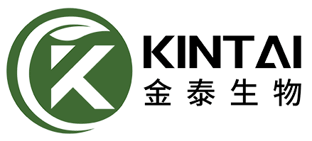 KINTAI