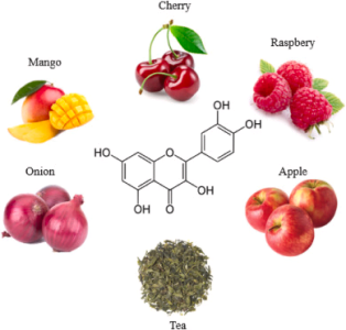 the source and formula structure of the quercetin extract powder, apple, onion, cherry, mango