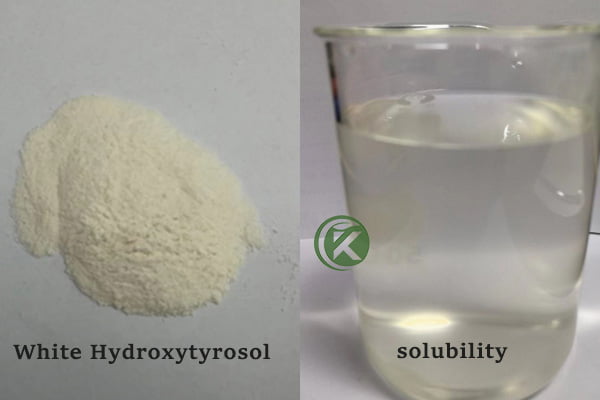 cosmetic grade white Hydroxytyrosol powder with solubility， manufacturer，nhà cung cấp