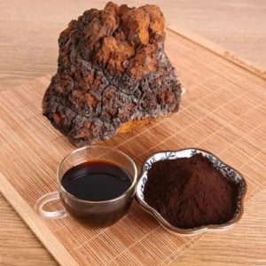 Chaga mushroom extract powder contain Betulinic Acid