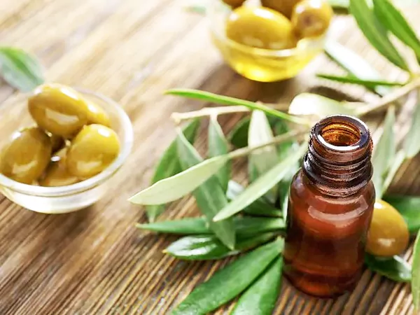 Olive leaf extract hydroxytyrosol in cosmetic, skincare