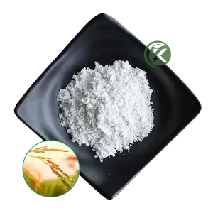 Rijstzemelenextract Gamma Oryzanol Poeder en oryzanol