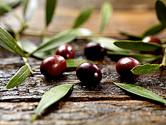 olive fruit, leaf