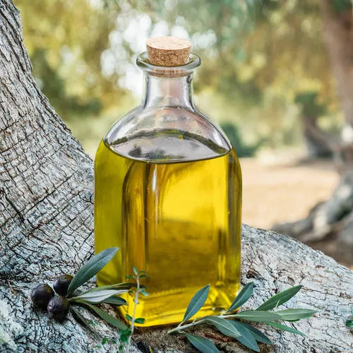 olive leaf extract for body