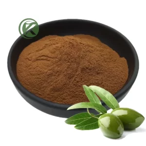 olive leaf extract pure best oleuropein bulk powder, nhà cung cấp, manufacturer, nhà máy