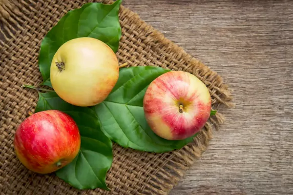 sweet apple fruit